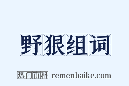 野狠组词是什么意思的图片